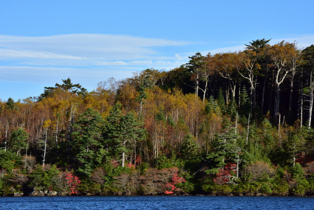 DSC_5409_493