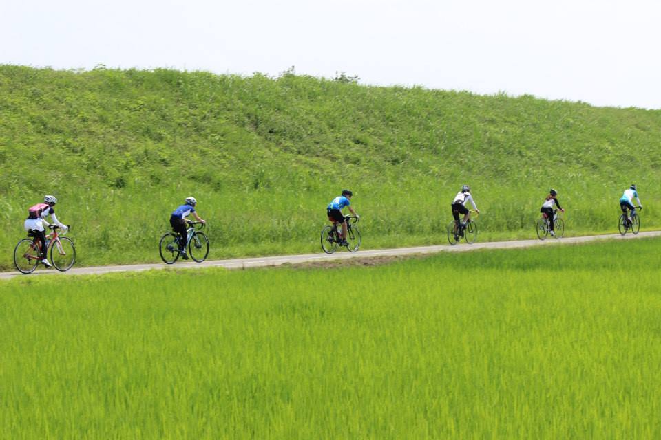 11745732_1078746135486526_5897604439008422693_n