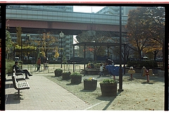 ����ݤݸ���