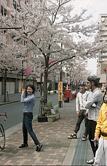 tn_Image37
