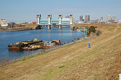 ��ʥ������