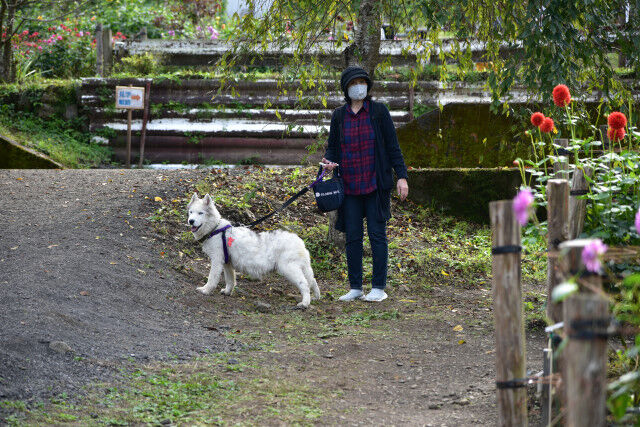 DSC_4857_3553