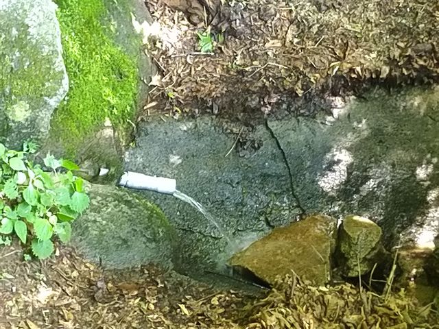 P_20180722_095938