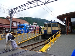 115�ϡ�ľ���ż�