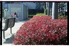 ����ݤݸ��ࡡ2