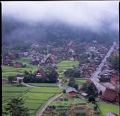 ������羸����