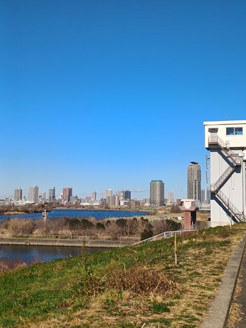 IMG_20250209_100002625