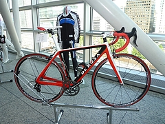 レッド/ホワイト 横