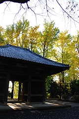 ��û���ʡ������