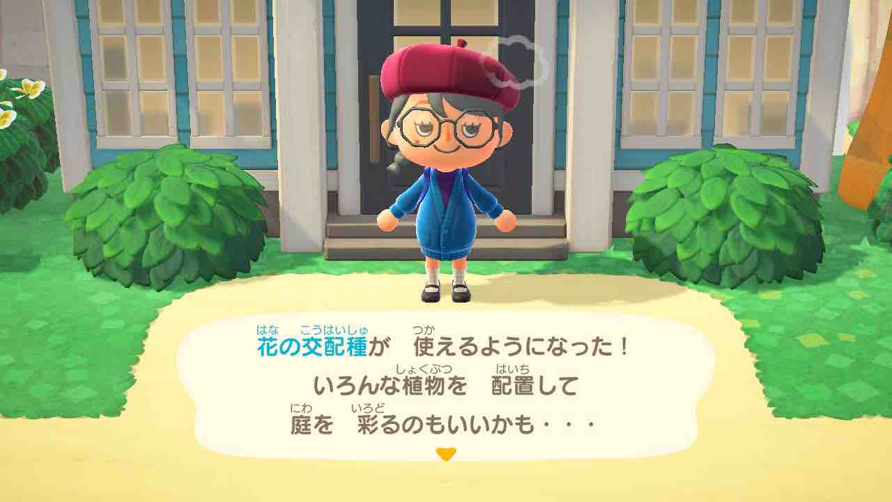 ハッピーホームパラダイス レイジ先生来訪 仕切り壁 ゲーム好きレフトのブログ