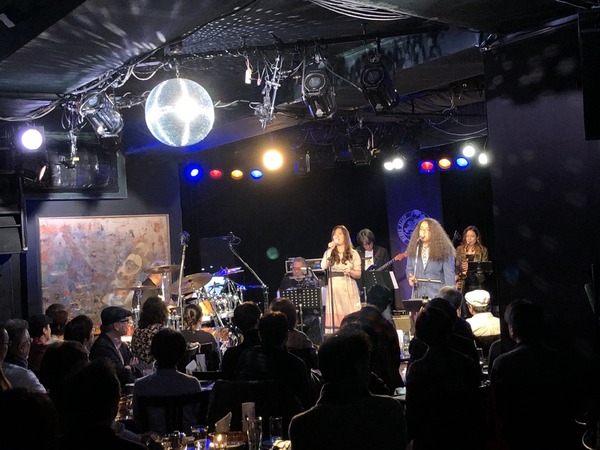 junk live 11