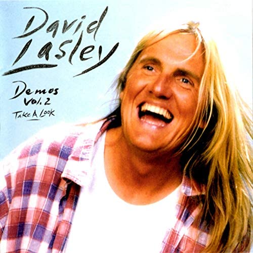 david lasley_rake a look