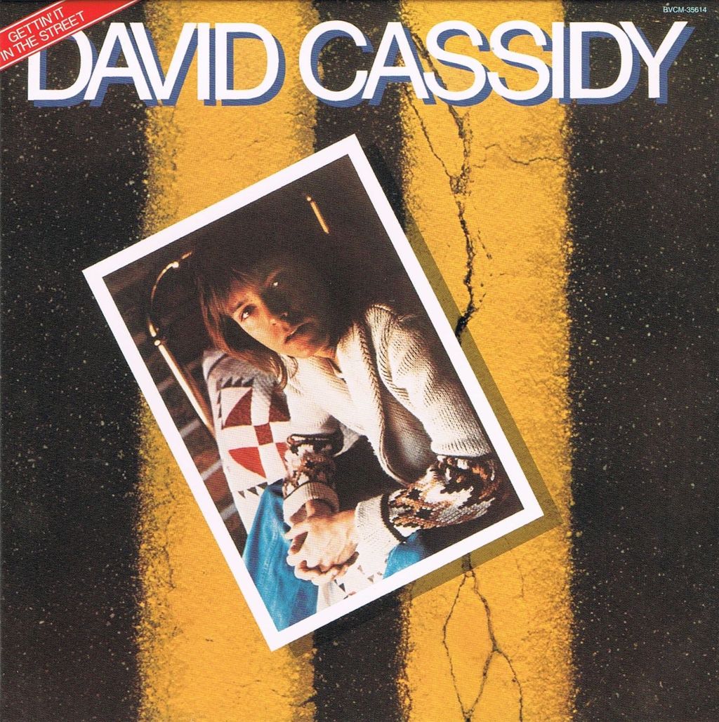 david cassidy