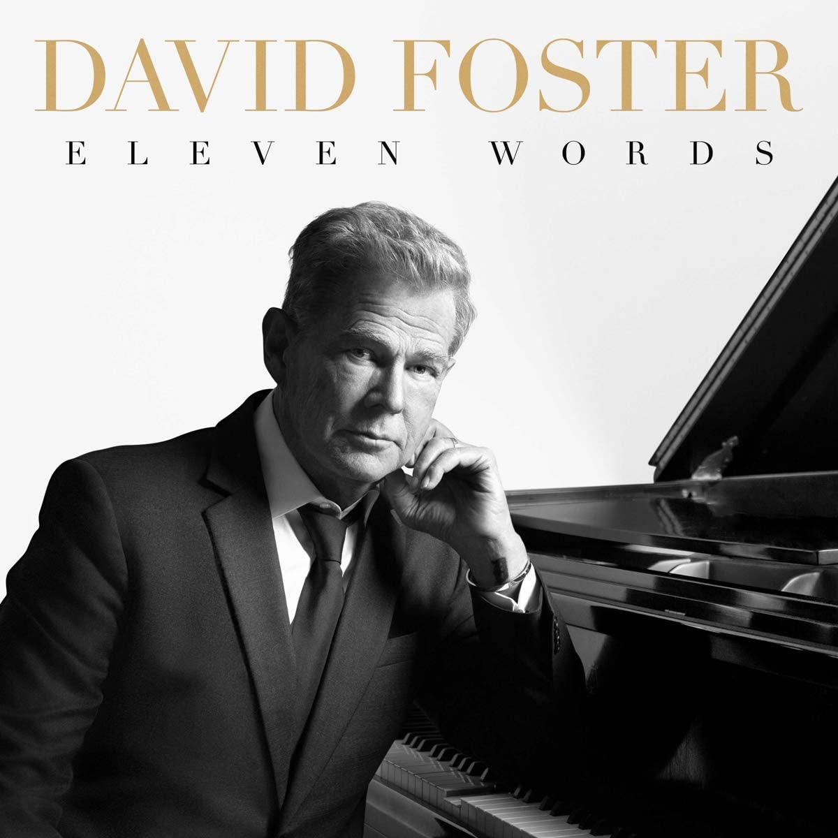 david foster_11 words