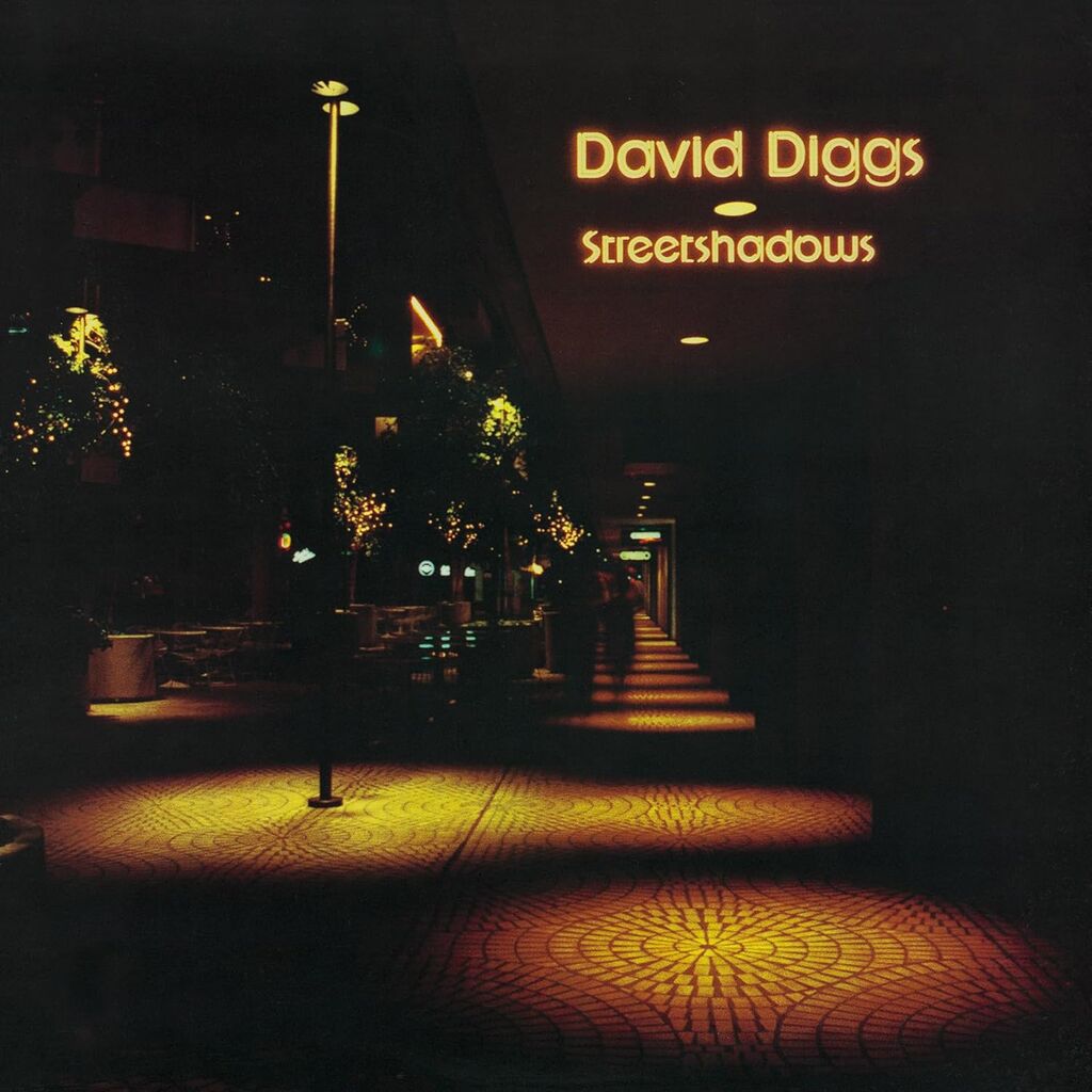 david dissg_streetshadow