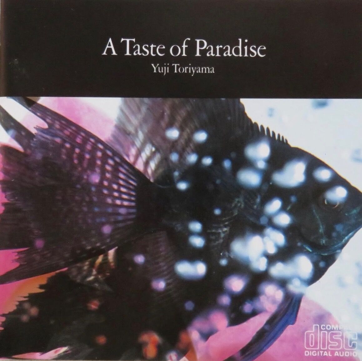 □ A TASTE OF PARADAISE ／ 鳥山雄司 : Light Mellow on the