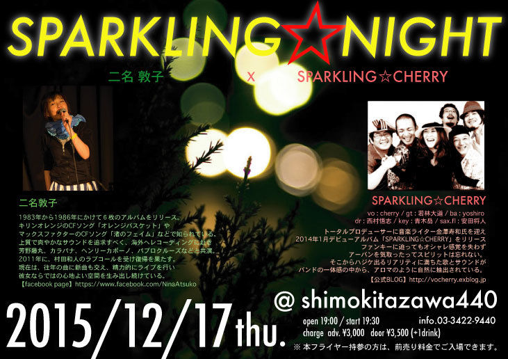 sparkling_night_1512