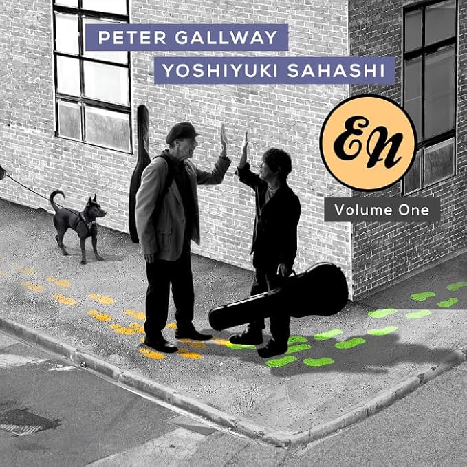 peter gallwey-sahashi