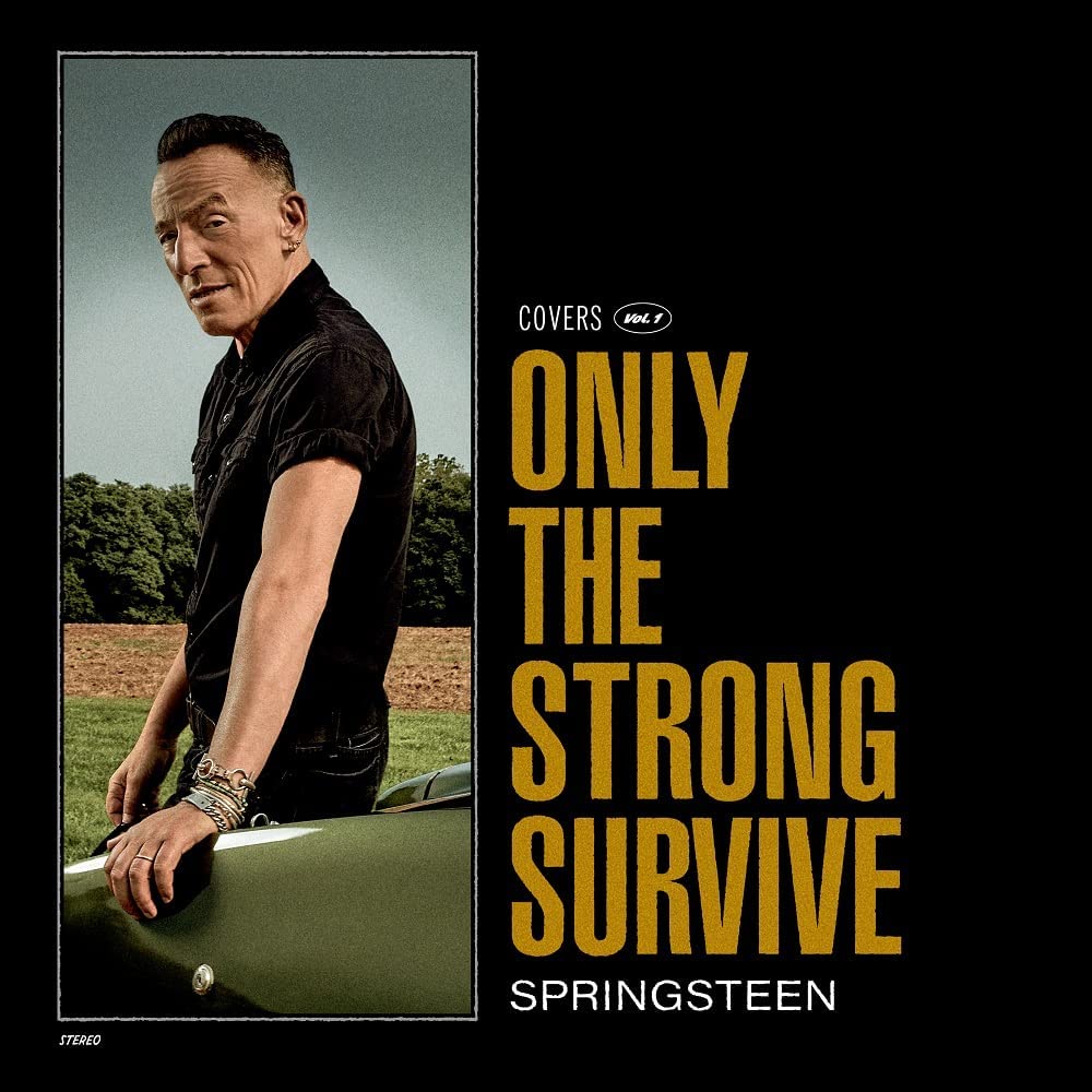 bruce springsteen_strong survive
