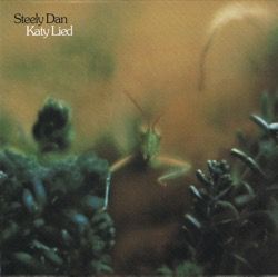 steely dan_katy