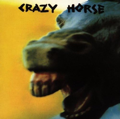 crazy horse 1