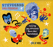 steve_gadd_live