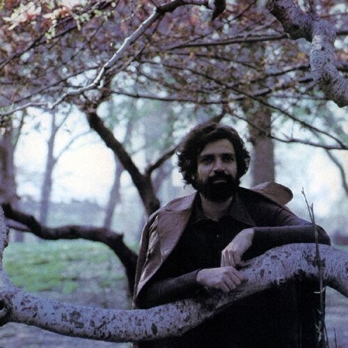 felix cavaliere_destiny
