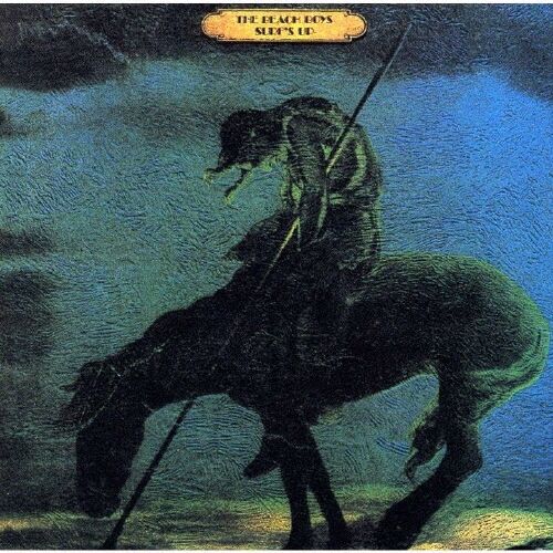 beach bpys_surf's up