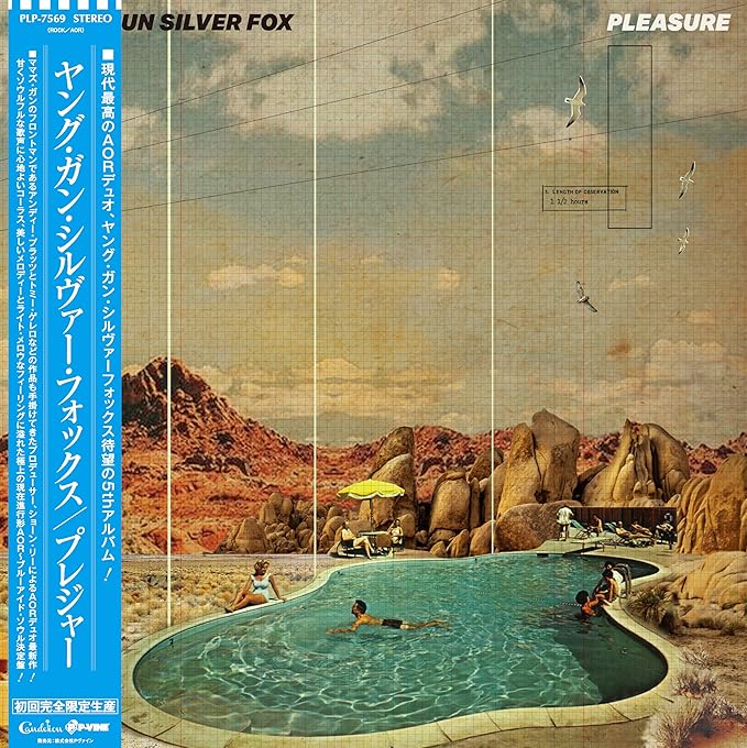 ygsf_pleasure lp