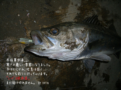 CIMG2724�Υ��ԡ�