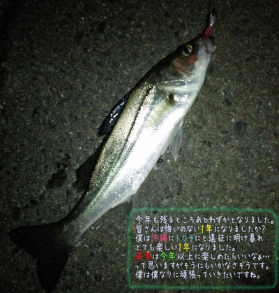 091226_195757¤Î¥³¥Ô¡¼