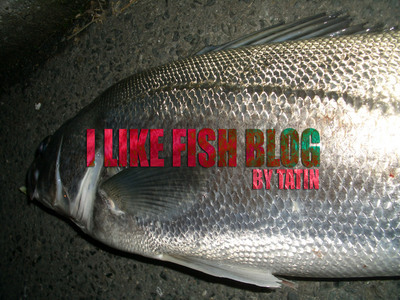 CIMG2717�Υ��ԡ�