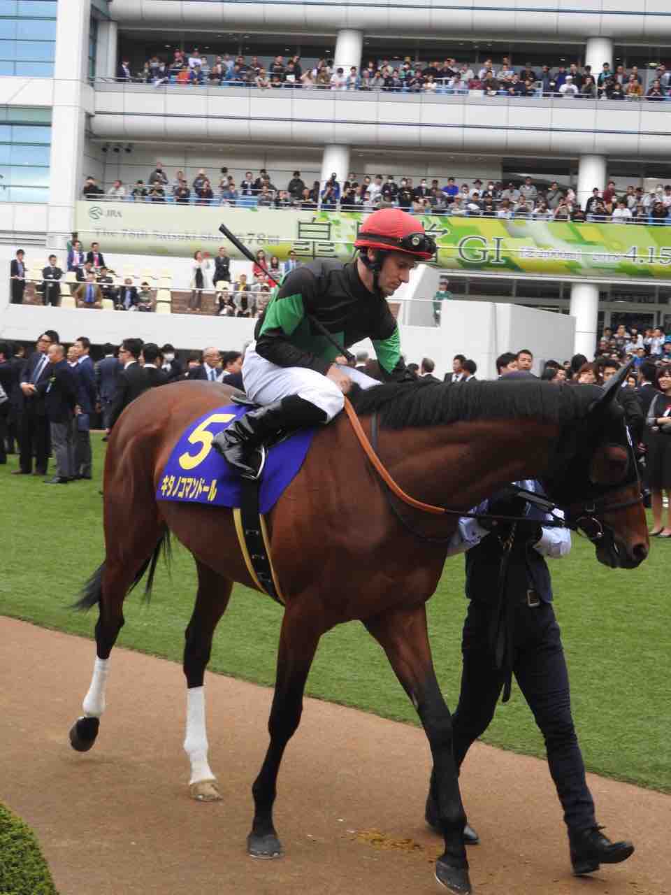 April 15 18 Flowers For Thoroughbreds