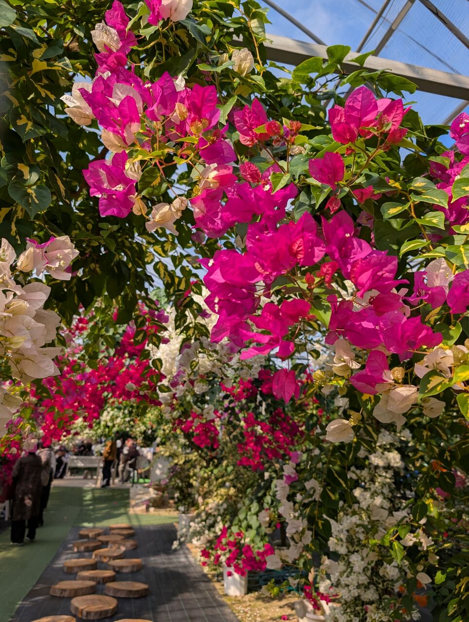 PXL_20251123_030656704