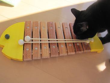 あたし・主婦の頭の中