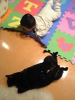 何食べてんの？