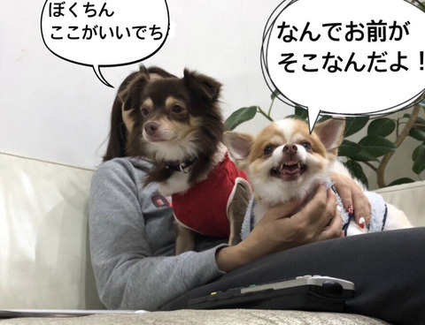 BlogPaint