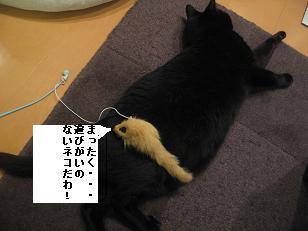 あたし・主婦の頭の中