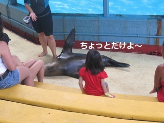 あたし・主婦の頭の中