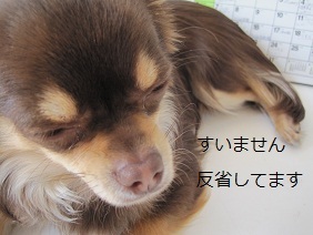 あたし・主婦の頭の中