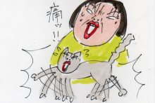 あたし・主婦の頭の中