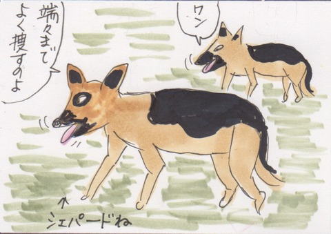 スキャン 28