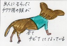 あたし・主婦の頭の中