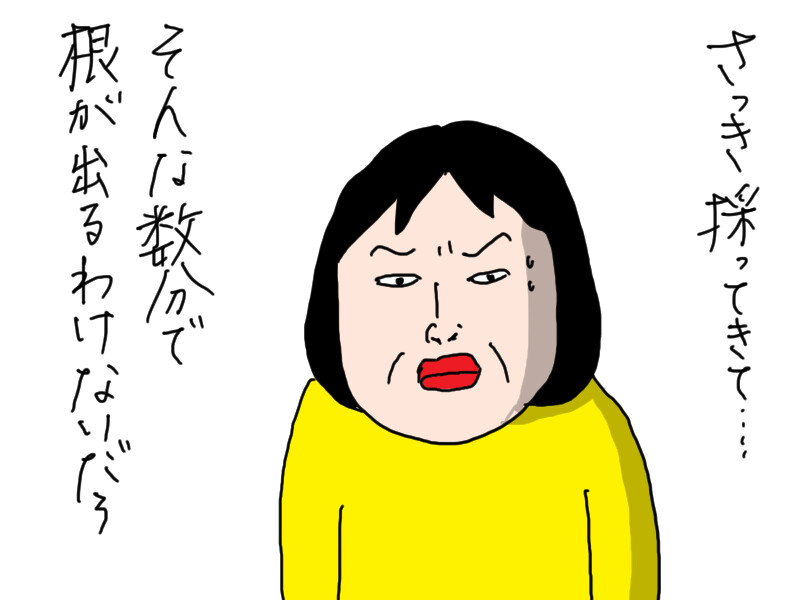 夫のハーブ畑（2）新たな試み : カータンBLOG あたし・主婦の頭の中