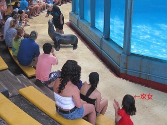 あたし・主婦の頭の中