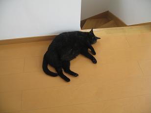 あたし・主婦の頭の中