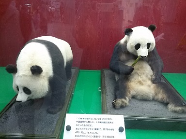 あたし・主婦の頭の中