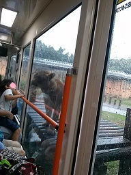 あたし・主婦の頭の中