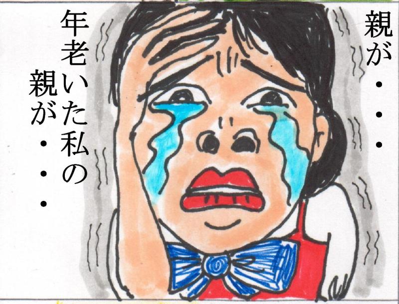両親が・・・年老いた両親が・・・