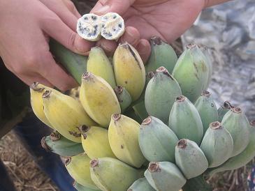 あたし・主婦の頭の中